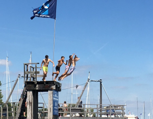 Villapark de Paardekreek