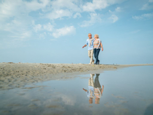 Landal Villapark Vogelmient