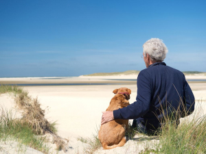 Landal Villapark Vogelmient