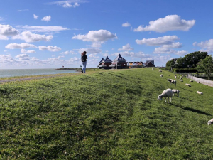 Landal Waterpark Sneekermeer