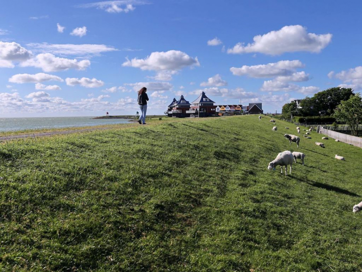 Landal Waterpark Sneekermeer
