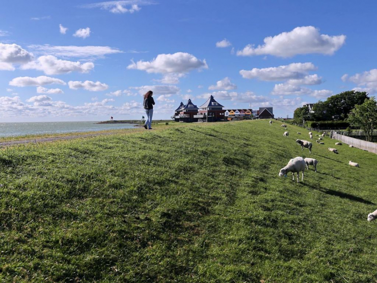 Landal Waterpark Sneekermeer