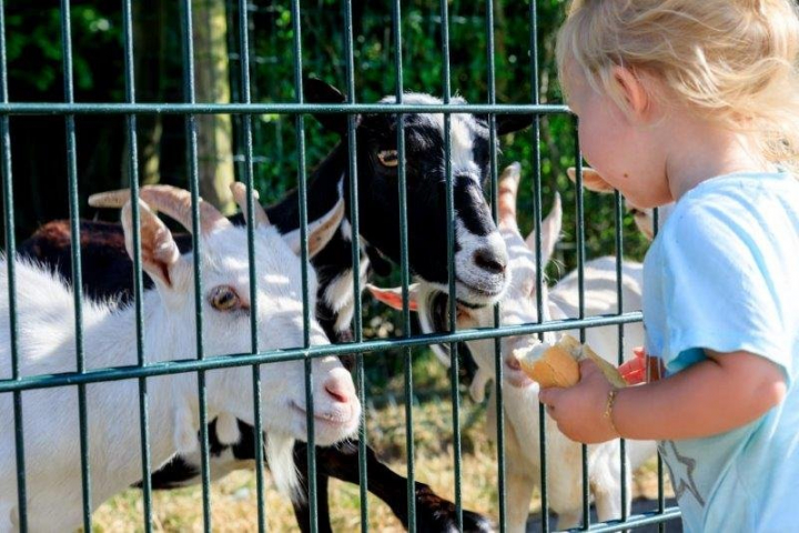 Ardoer Camping Westhove