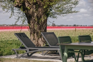 Roompot Park Wijdenes