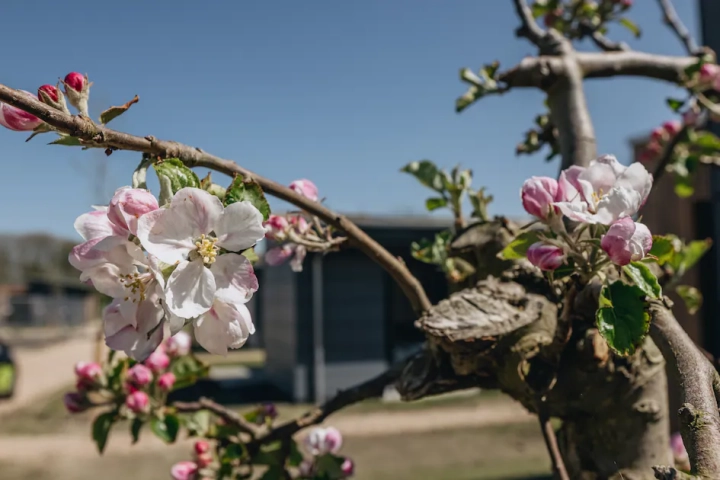 Roompot Park Wijdenes