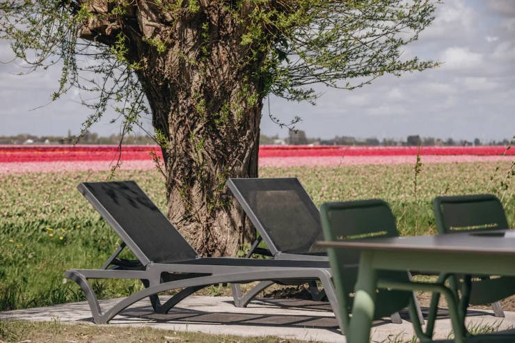 Roompot Park Wijdenes