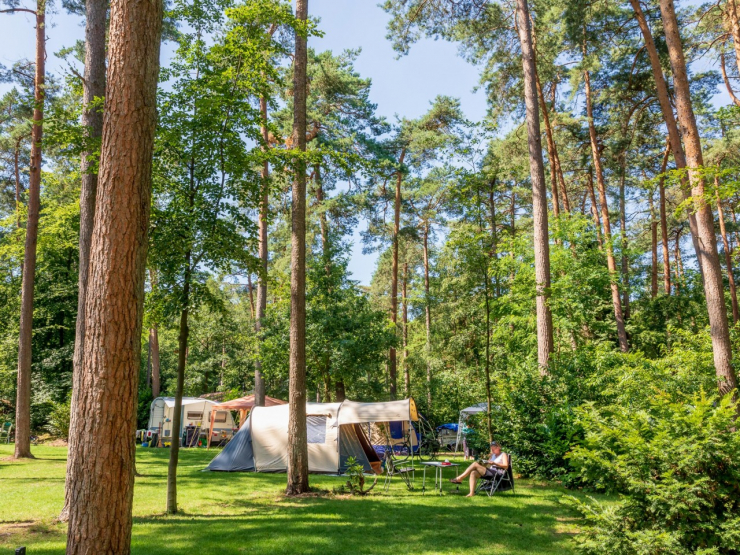 Camping De Jutberg